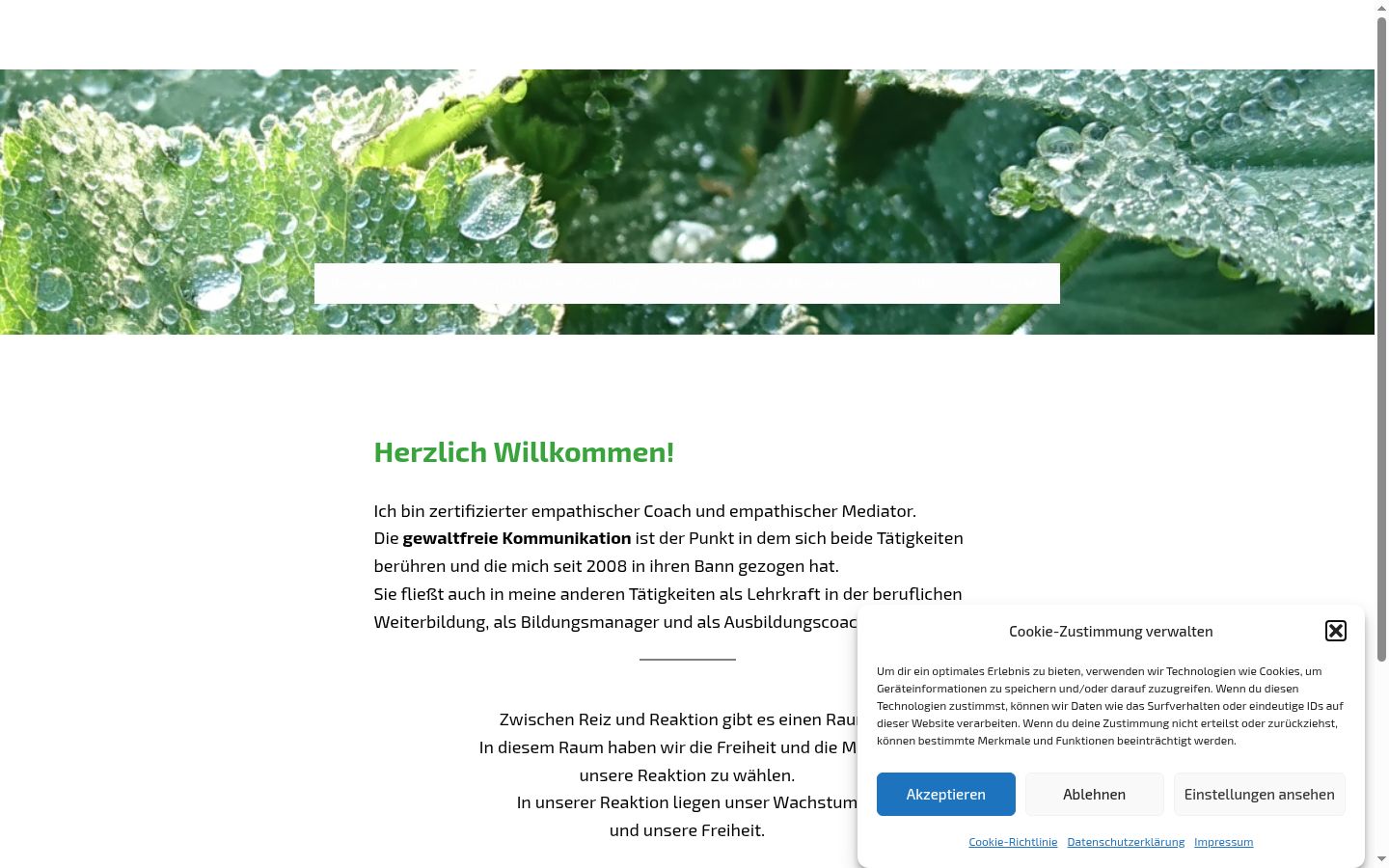Screenshot des Einwilligungsbanners vor jeglicher Interaktion