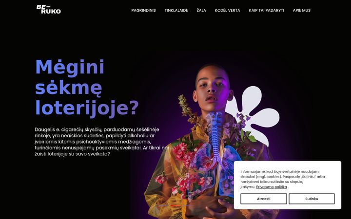 Screenshot of beruko.lt