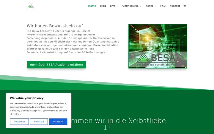 Zrzut ekranu besa-academy.de