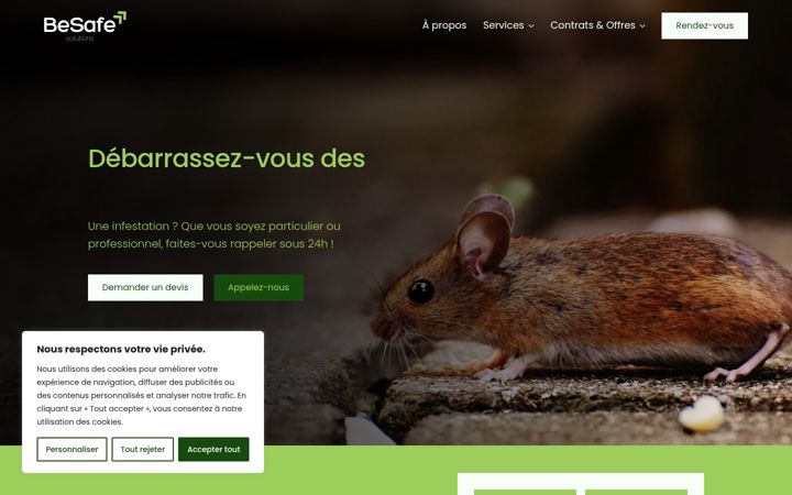 Screenshot of besafe-solutions.fr