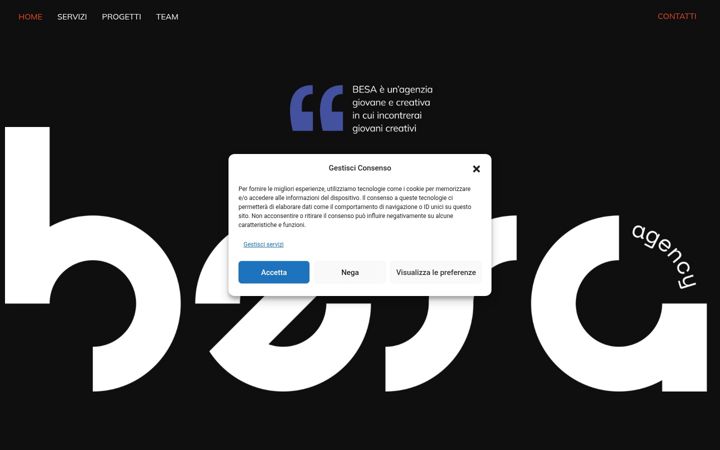 Screenshot of besagency.it