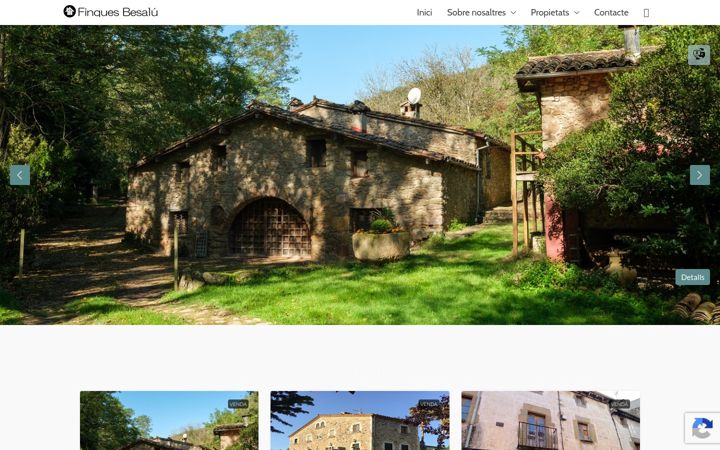 Screenshot of besalufinques.com
