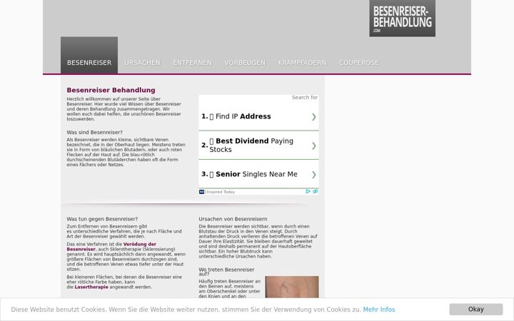 Screenshot of besenreiser-behandlung.com