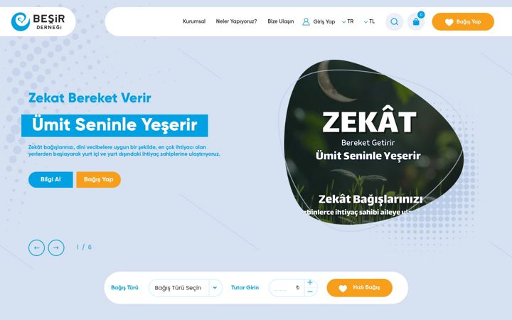 Screenshot of besir.org.tr