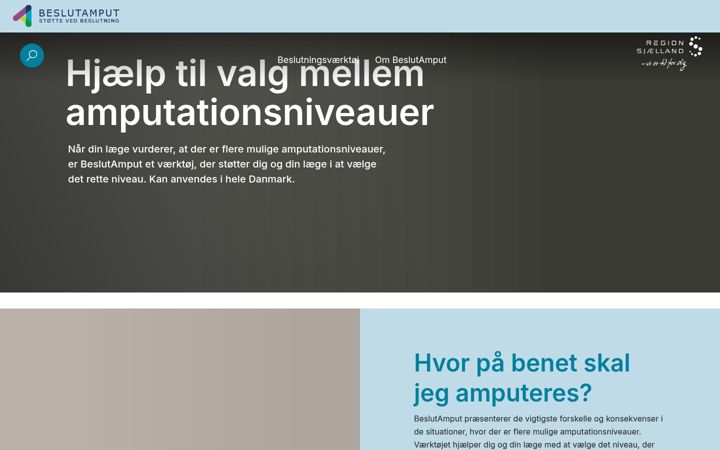 Kuvakaappaus sivustosta beslutamput.dk