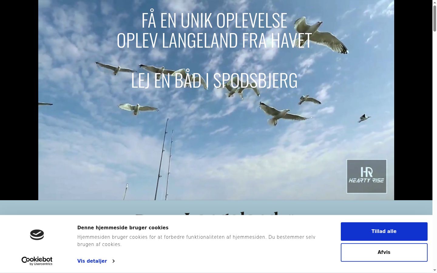 Skærmbillede af samtykkebanneret, som det blev vist før nogen interaktion
