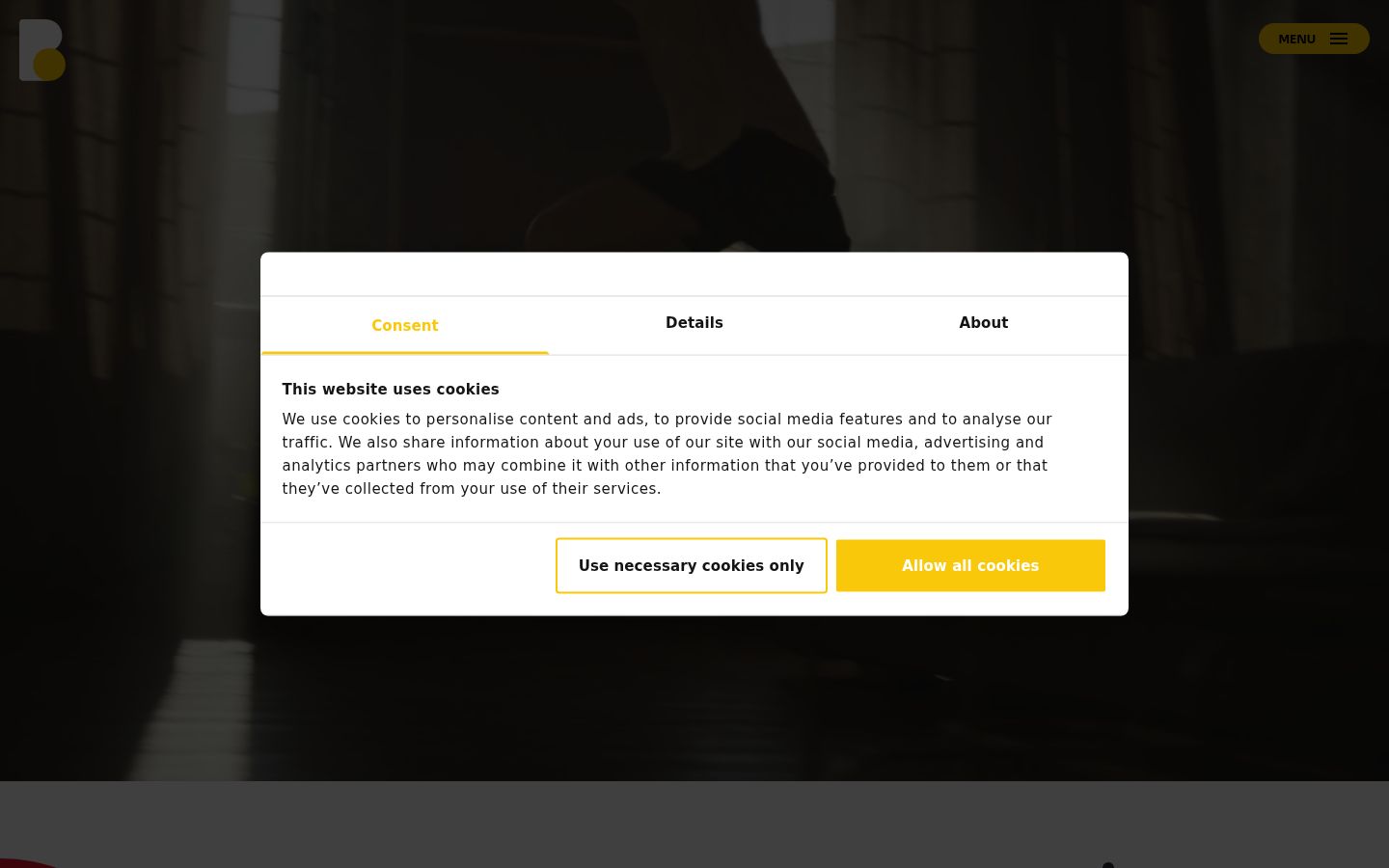 Screenshot of the consent banner shown before any interaction