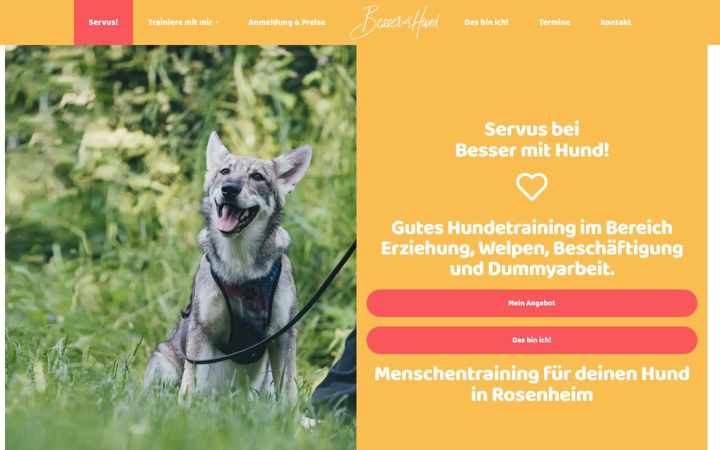 Screenshot of bessermithund.de