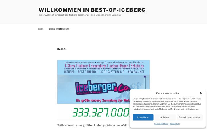 Screenshot of best-of-iceberg.com