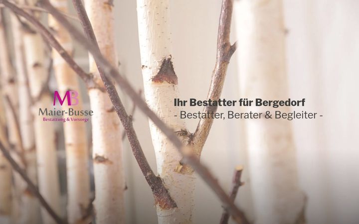 Screenshot of bestatter-bergedorf.de