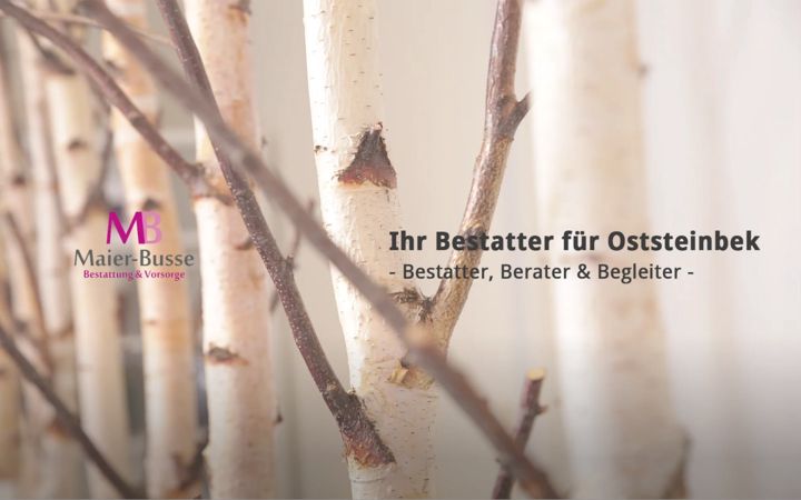 Screenshot di bestatter-oststeinbek.de