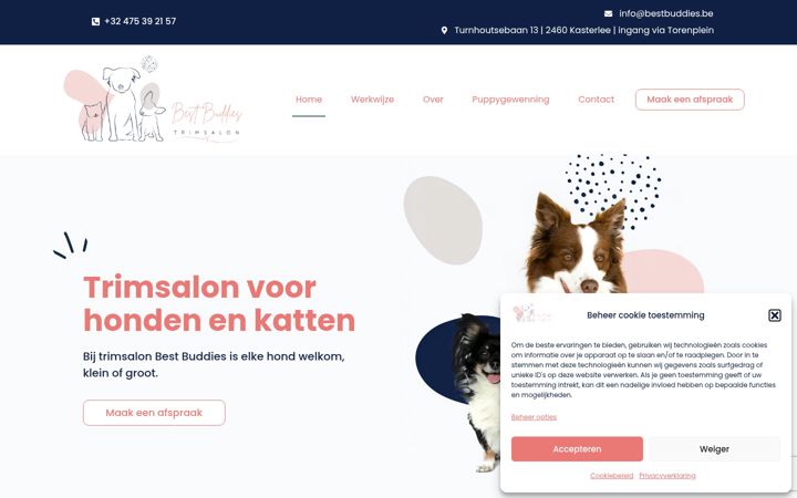 Screenshot van bestbuddies.be