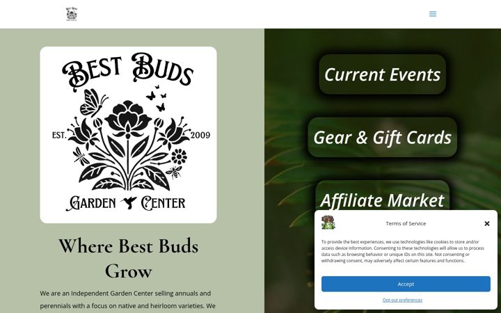 Screenshot of bestbudsil.com