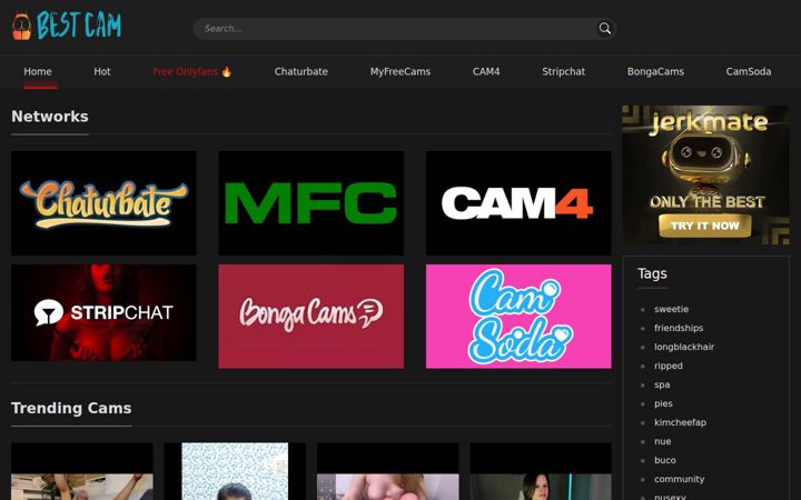 Screenshot of bestcam.tv