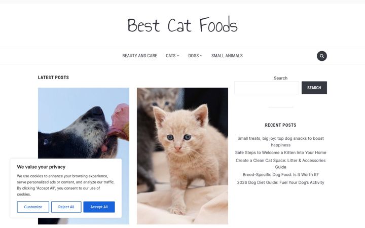 Screenshot stránky bestcatfoods.net