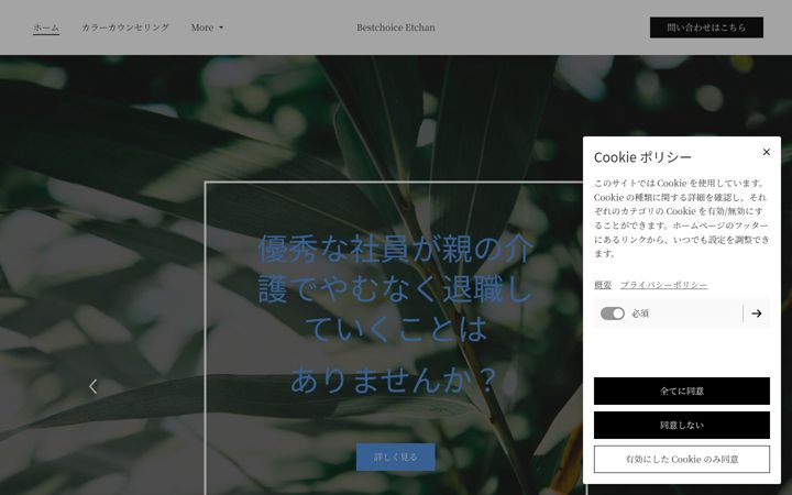 Screenshot of bestchoice-etchan.com