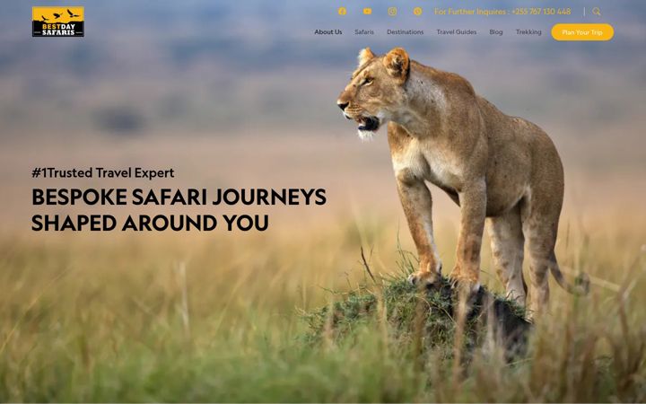 Screenshot of bestdaysafaris.com