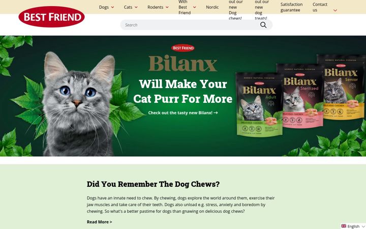 Screenshot of bestfriend.com