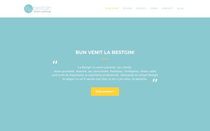 Screenshot of bestgin.ro