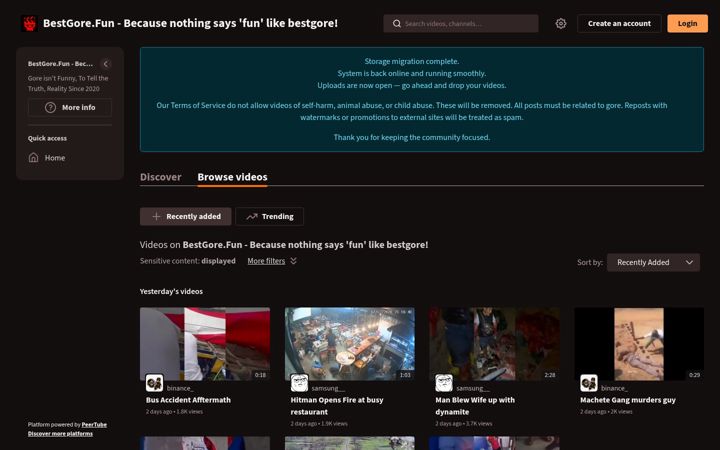 Screenshot of bestgore.fun
