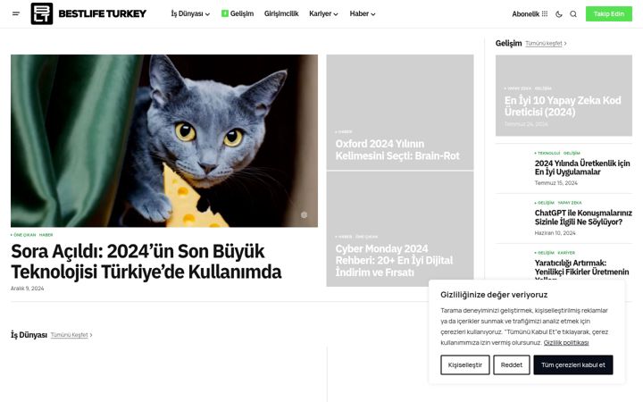 Screenshot of bestlifeturkey.com