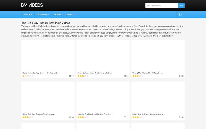 Screenshot of bestmalevideos.com
