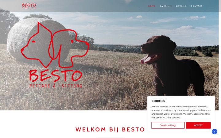 Skjermbilde av bestopetcare.be