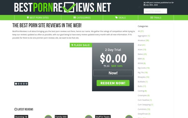 Screenshot of bestpornreviews.net