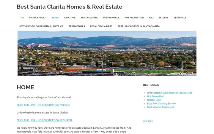 Screenshot of bestsantaclarita.com