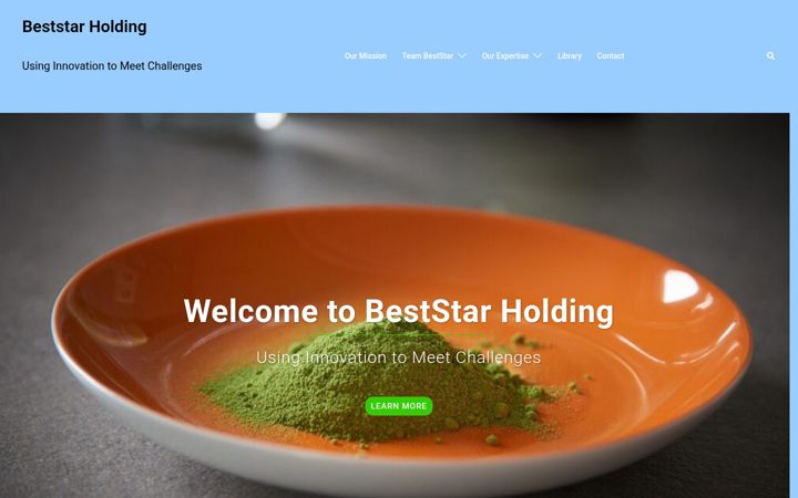 Snímek obrazovky beststarholding.org