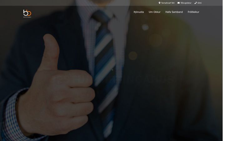 Screenshot of bestun.is