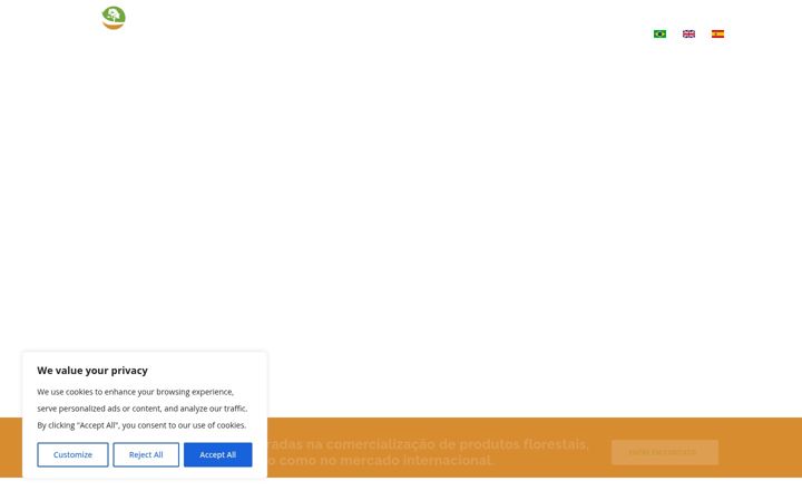 Screenshot of bestwoodbrazil.com.br