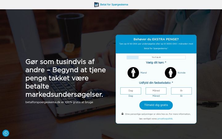 Screenshot of betalforspoergeskema-dk.com