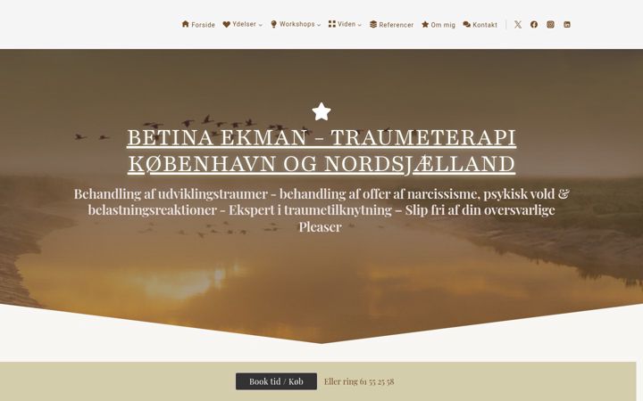 Screenshot of betinaekman.dk