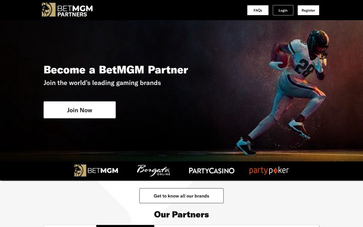 Screenshot of betmgmpartners.com