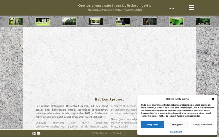 Screenshot of betonkunstoosterhout.nl