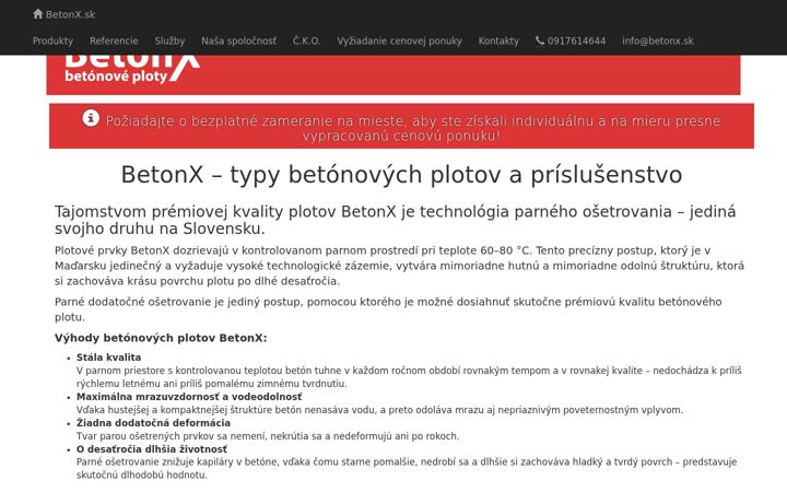 Screenshot of betonx.sk