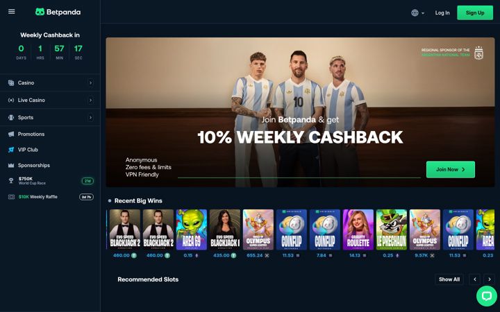 Screenshot of betpandacasino.io