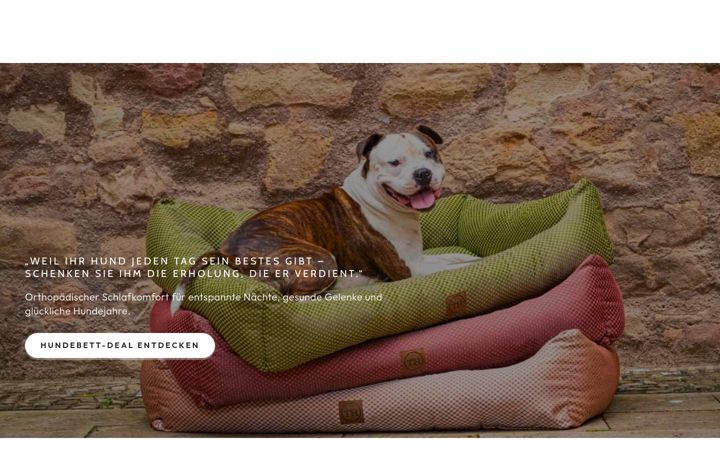 Screenshot of bettenhaus-traumhund.de