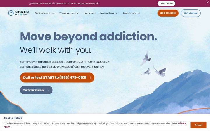 Screenshot of betterlifepartners.com