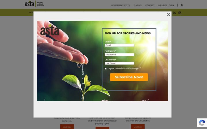 Screenshot of betterseed.org