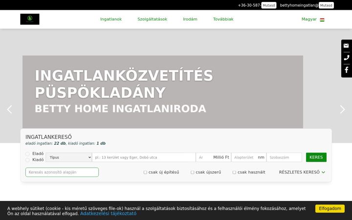 Screenshot of bettyhomeingatlan.hu