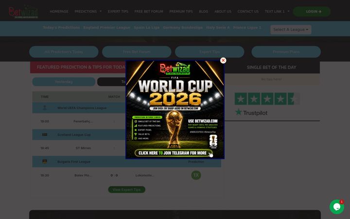 Screenshot of betwizad.com