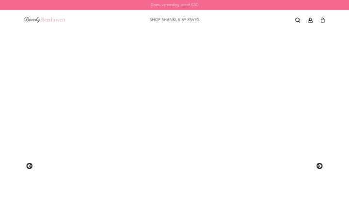 Screenshot of beverlybeethoven.nl