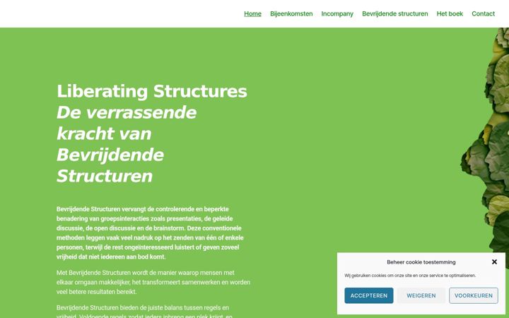 Screenshot of bevrijdendestructuren.nl
