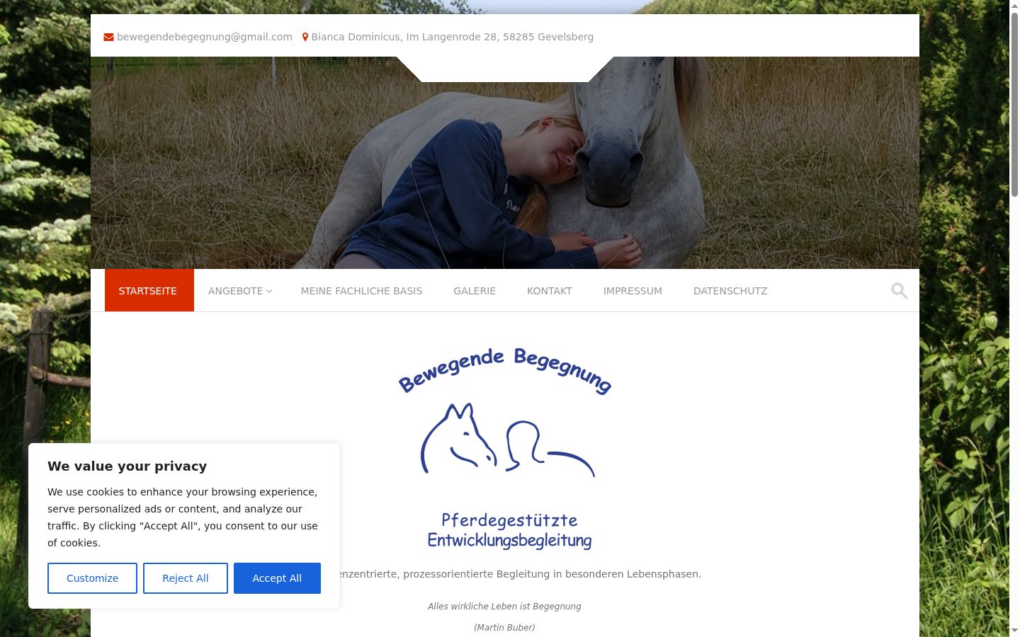 Screenshot of the consent banner shown before any interaction