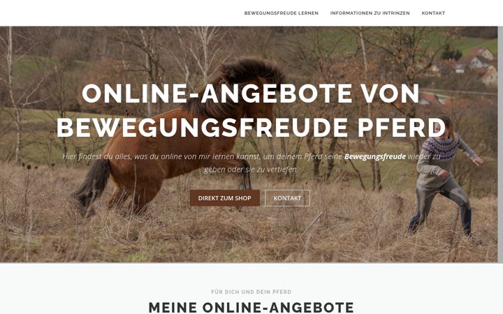 Captura de pantalla de bewegungsfreudelernen.de