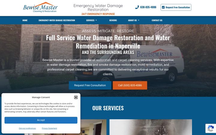 Screenshot of bewisemaster.com