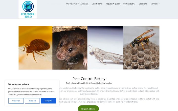 Screenshot of bexleypestcontrol.co.uk