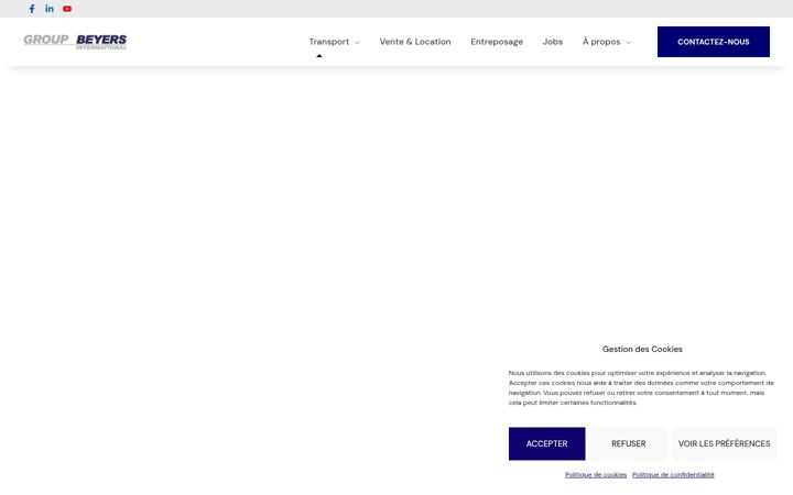 Skærmbillede af beyers-international.eu